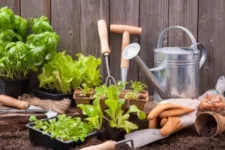 How to turn your garage into a garden