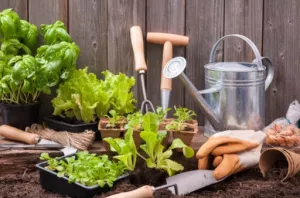 Start your spring seedlings in the garage